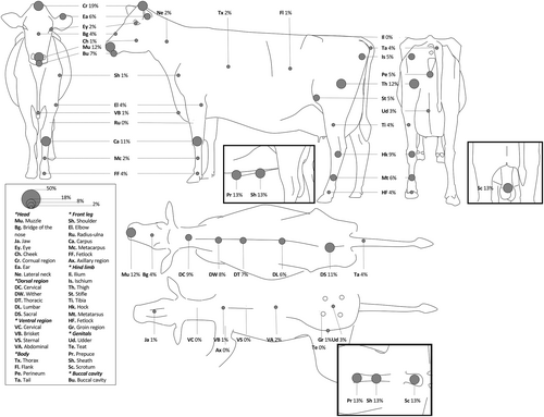 Details are in the caption following the image Details are in the caption following the image