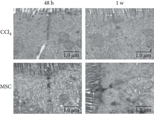 Details are in the caption following the image