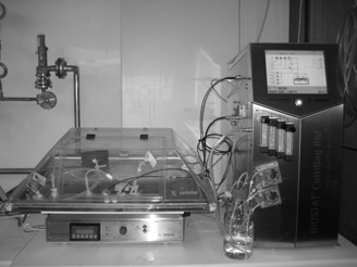 Strikt anaerobe Batch-Kultivierung von Eubacterium ramulus in einem neuartigen Einweg-Beutelreaktorsystem Strictly Anaerobic Batch Cultivation of Eubacterium ramulus in a Novel Disposable Bag Reactor System