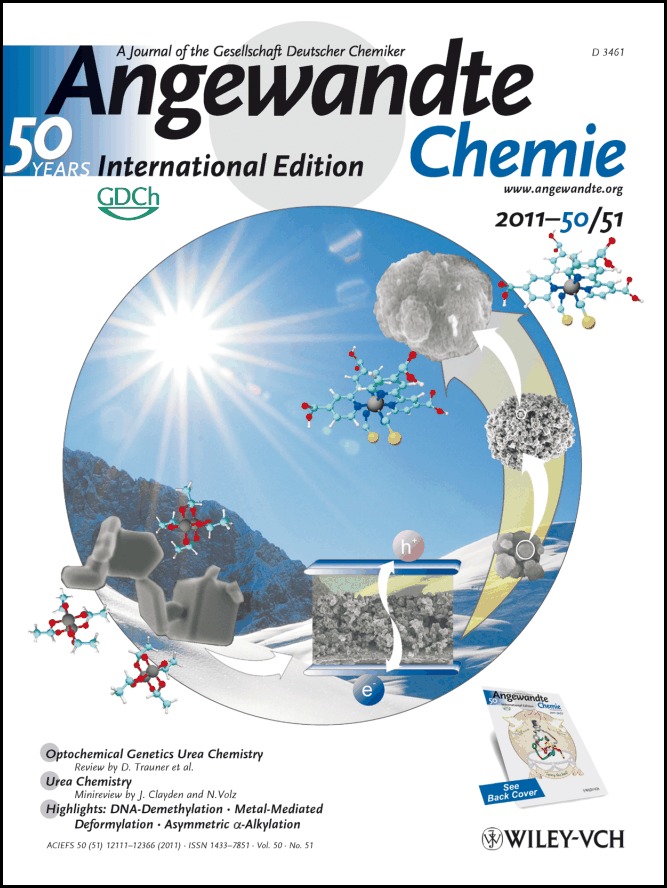 Cover Picture: Hierarchically Assembled ZnO Nanocrystallites for High-Efficiency Dye-Sensitized Solar Cells (Angew. Chem. Int. Ed. 51/2011)