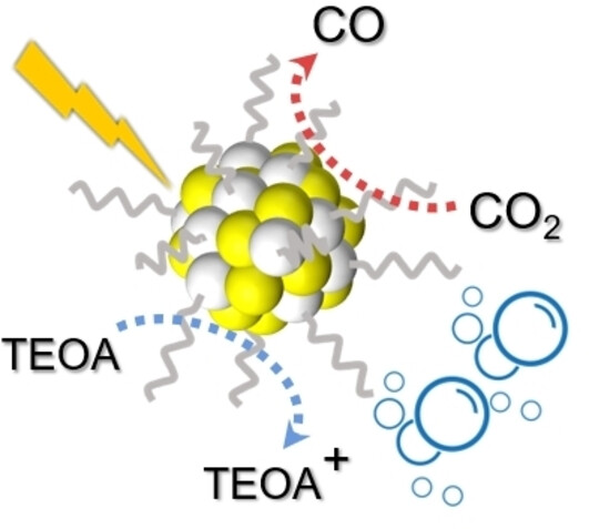 Organic Polymer Dots Photocatalyze CO2 Reduction in Aqueous Solution