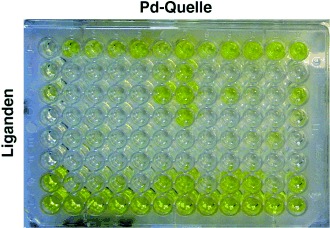 Sandwich Immunoassay as a High-Throughput Screening Method for Cross-Coupling Reactions