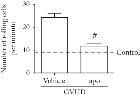 Details are in the caption following the image