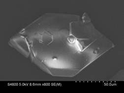 Solvent Effect on Crystal Structure of Tetracycline Hydrochloride
