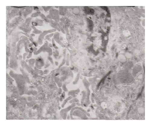 Details are in the caption following the image