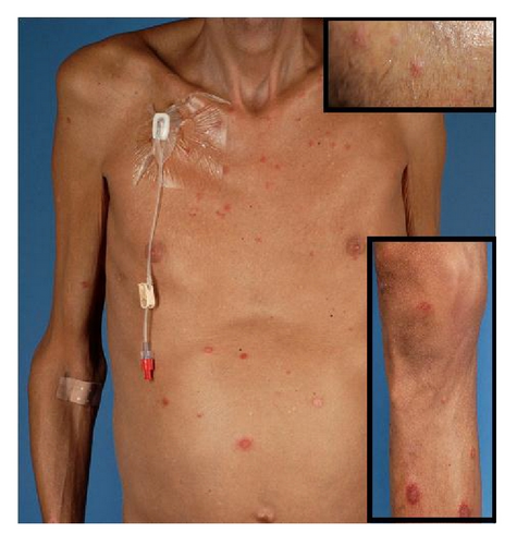 Details are in the caption following the image Details are in the caption following the image