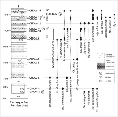 Details are in the caption following the image Details are in the caption following the image