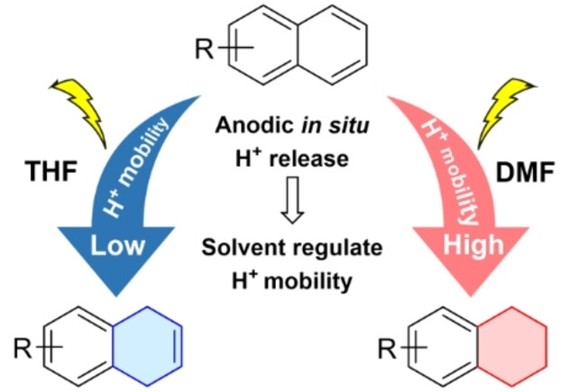 Scalable and Selective Electrochemical Hydrogenation of Polycyclic Arenes