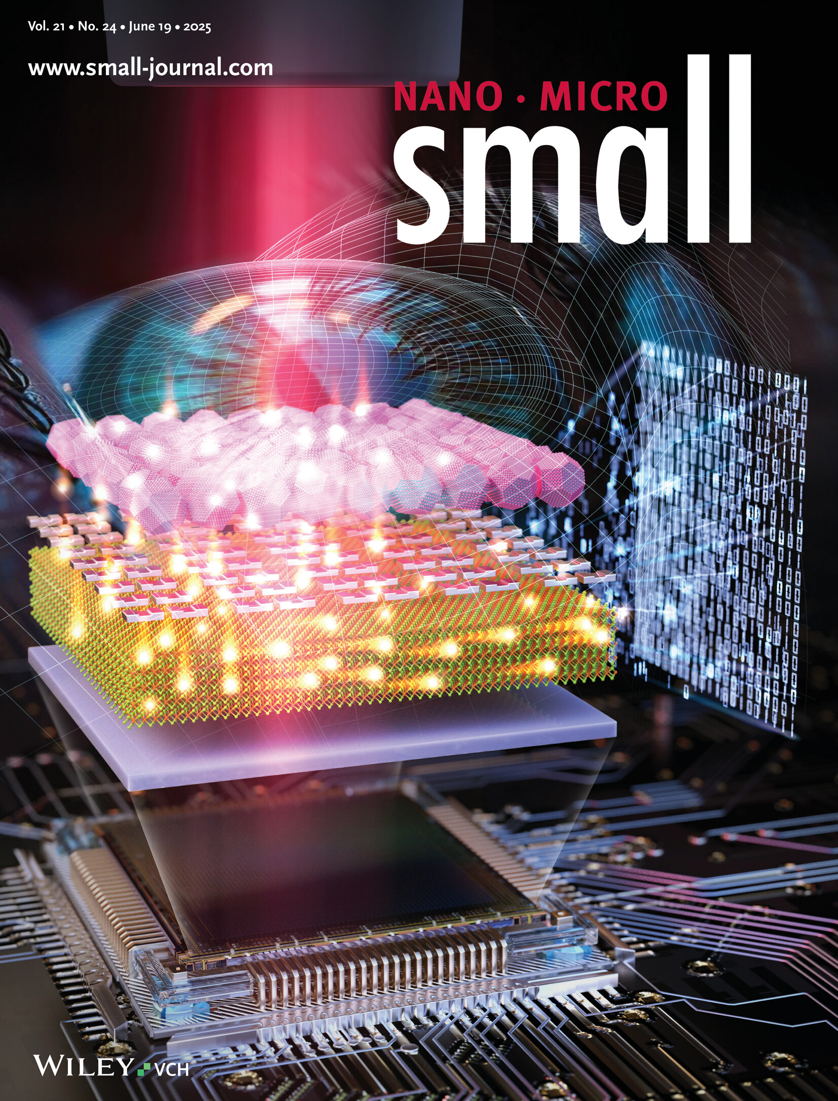 Infrared-Triggered Retinomorphic Artificial Synapse Electronic Device Containing Multi-Dimensional van der Waals Heterojunctions (Small 24/2025) Volume 21 Issue 24, 2025
