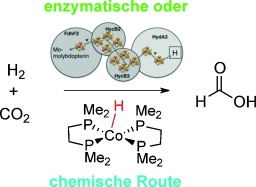 Fixierung von CO2 durch Hydrierung mit chemischen oder enzymatischen Methoden