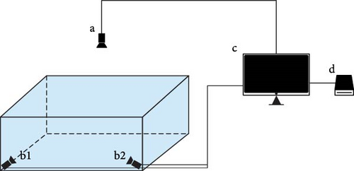 Details are in the caption following the image Details are in the caption following the image