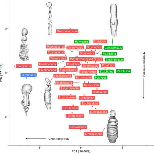 Details are in the caption following the image Details are in the caption following the image