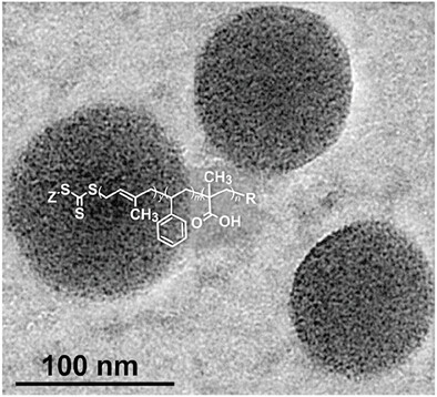 Polymerization-Induced Self-Assembly for the Synthesis of Polyisoprene-Polystyrene Block and Random Copolymers: Towards High Molecular Weight and Conversion