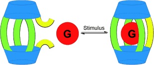 Reversible Photochemically Gated Transformation of a Hemicarcerand to a Carcerand