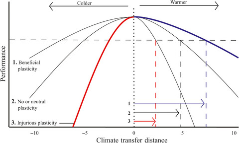 Genotypic variation in phenological plasticity: Reciprocal common gardens reveal adaptive responses to warmer springs but not to fall frost