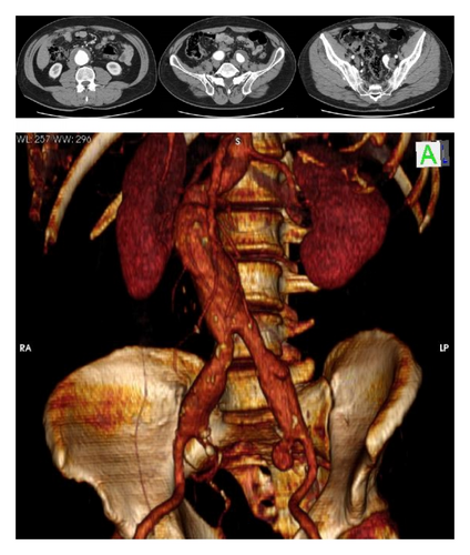 Details are in the caption following the image Details are in the caption following the image
