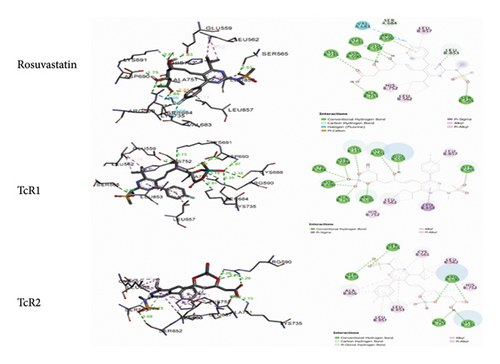 Details are in the caption following the image Details are in the caption following the image