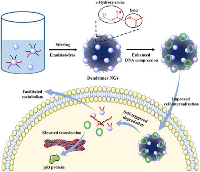Functional Dendrimer Nanogels for DNA Delivery and Gene Therapy of Tumors