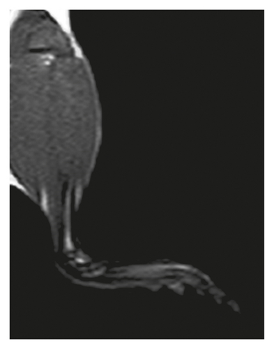 Details are in the caption following the image