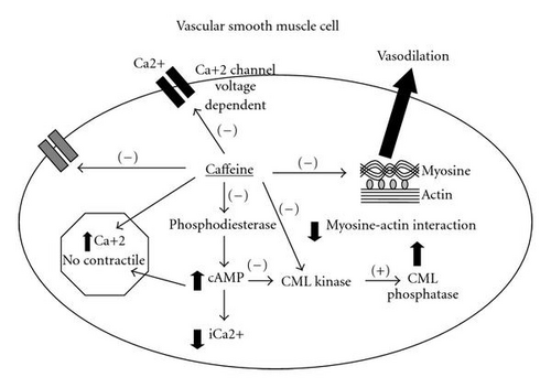 Details are in the caption following the image
