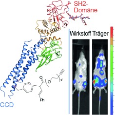 Rhodium(II) Proximity-Labeling Identifies a Novel Target Site on STAT3 for Inhibitors with Potent Anti-Leukemia Activity