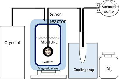 Separation of Trimethyl Borate from a Liquid Mixture by Pervaporation