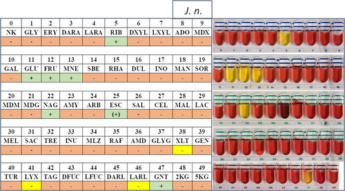 Details are in the caption following the image Details are in the caption following the image
