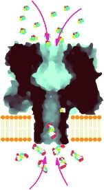 Single-Molecule Covalent Chemistry with Spatially Separated Reactants