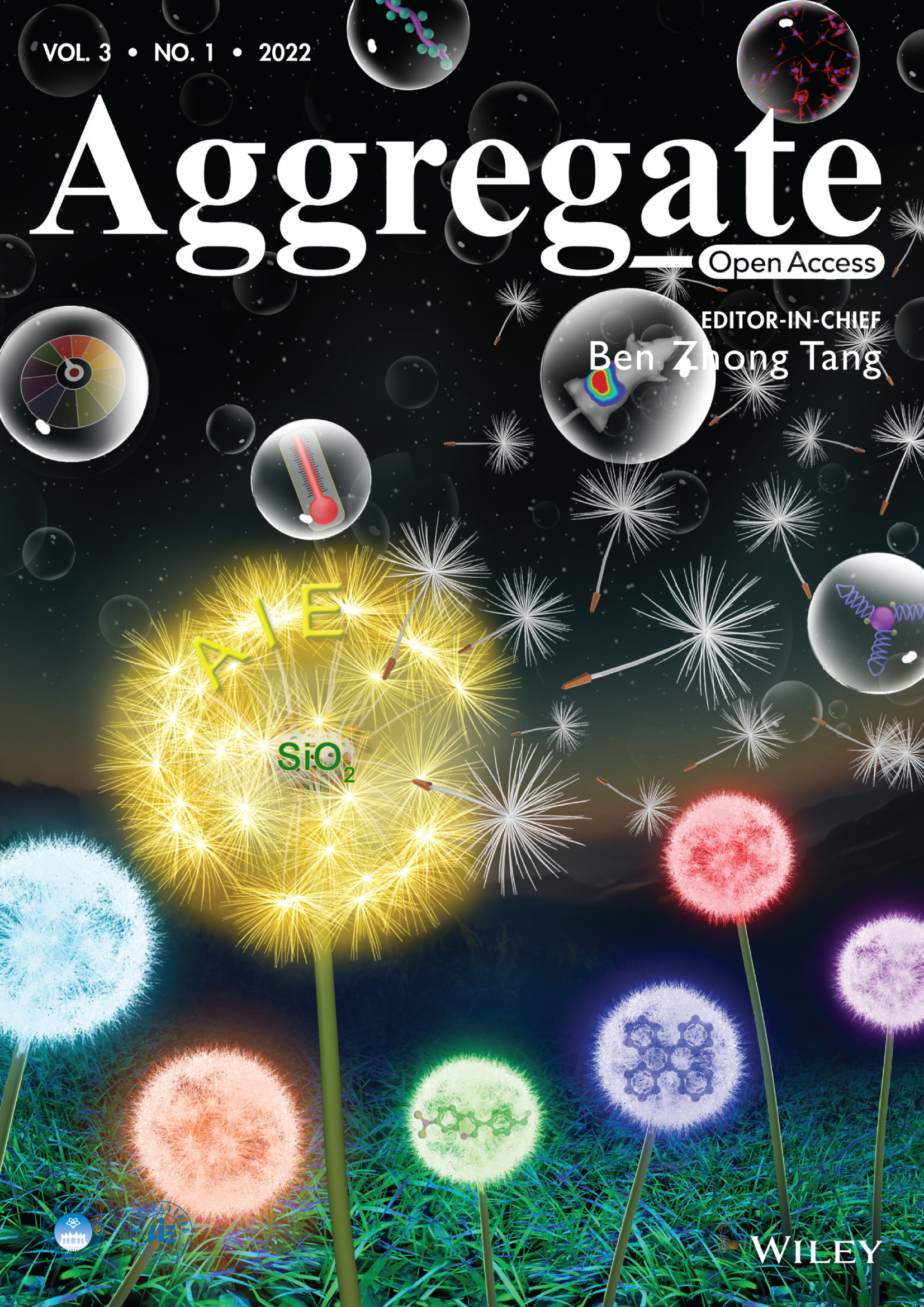Inside Back Cover: Frontier luminous strategy of functional silica nanohybrids in sensing and bioimaging: From ACQ to AIE Volume 3 Issue 1, 2022