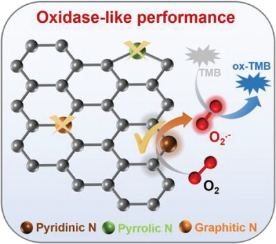 Probing the Active Nitrogen Species in Nitrogen-Doped Carbon Nanozymes for Enhanced Oxidase-Like Activity