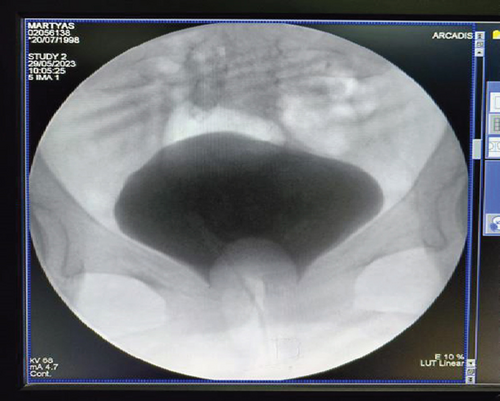 Details are in the caption following the image Details are in the caption following the image
