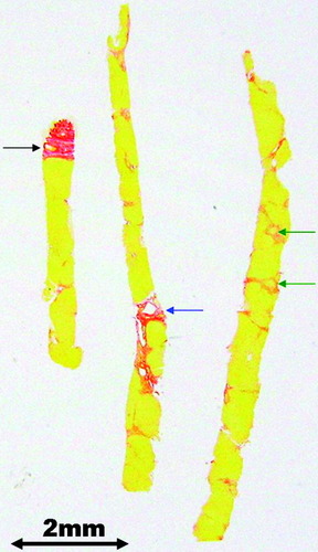 Details are in the caption following the image Details are in the caption following the image
