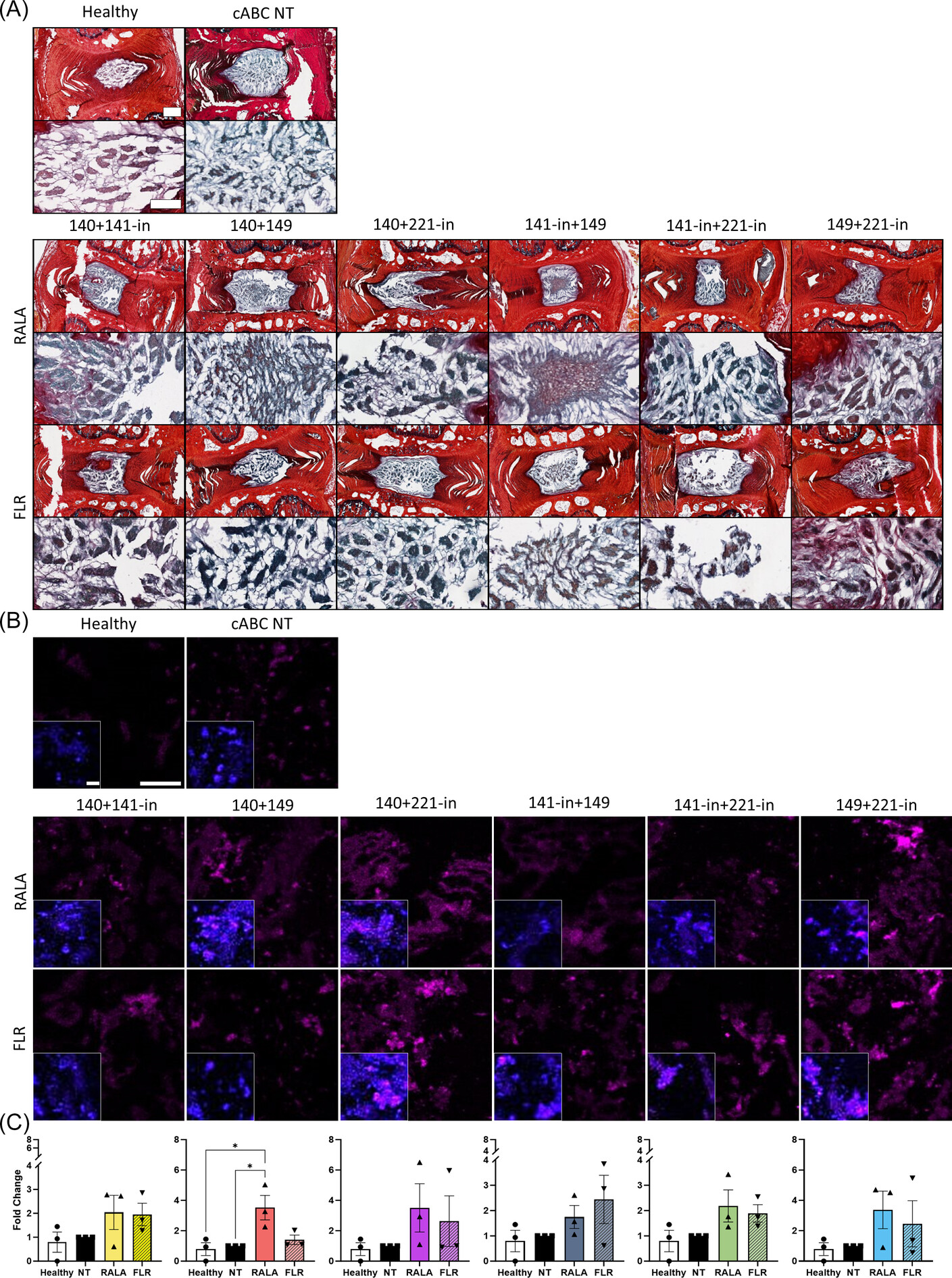 In vitro and ex vivo screening of microRNA combinations with enhanced cell penetrating peptides to stimulate intervertebral disc regeneration