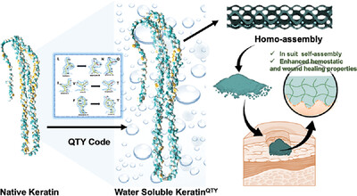 Rational design of water-soluble, homotypic keratins self-assembly with enhanced bioactivities Issue 2, 2024