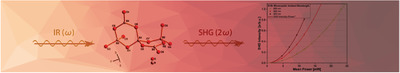 Resource-Efficient Low-Temperature Synthesis of Microcrystalline Pb2B5O9X (X = Cl, Br) for Surfaces Studies by Optical Second Harmonic Generation