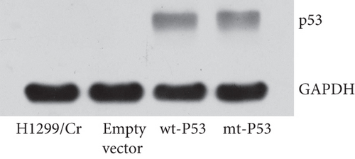 Details are in the caption following the image