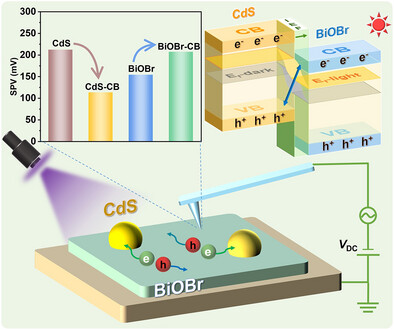 Kelvin Probe Force Microscopy Reveals Spatially Resolved Charge-Transfer Mechanism in CdS/BiOBr S-scheme Heterojunction Photocatalyst