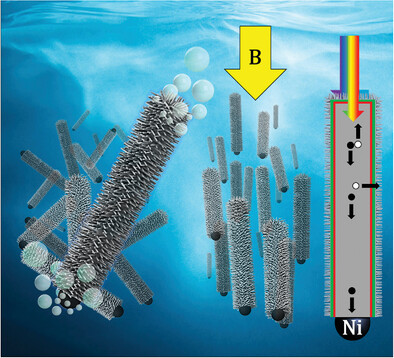 In Situ Magnetic Alignment of a Slurry of Tandem Semiconductor Microwires Using a Ni Catalyst