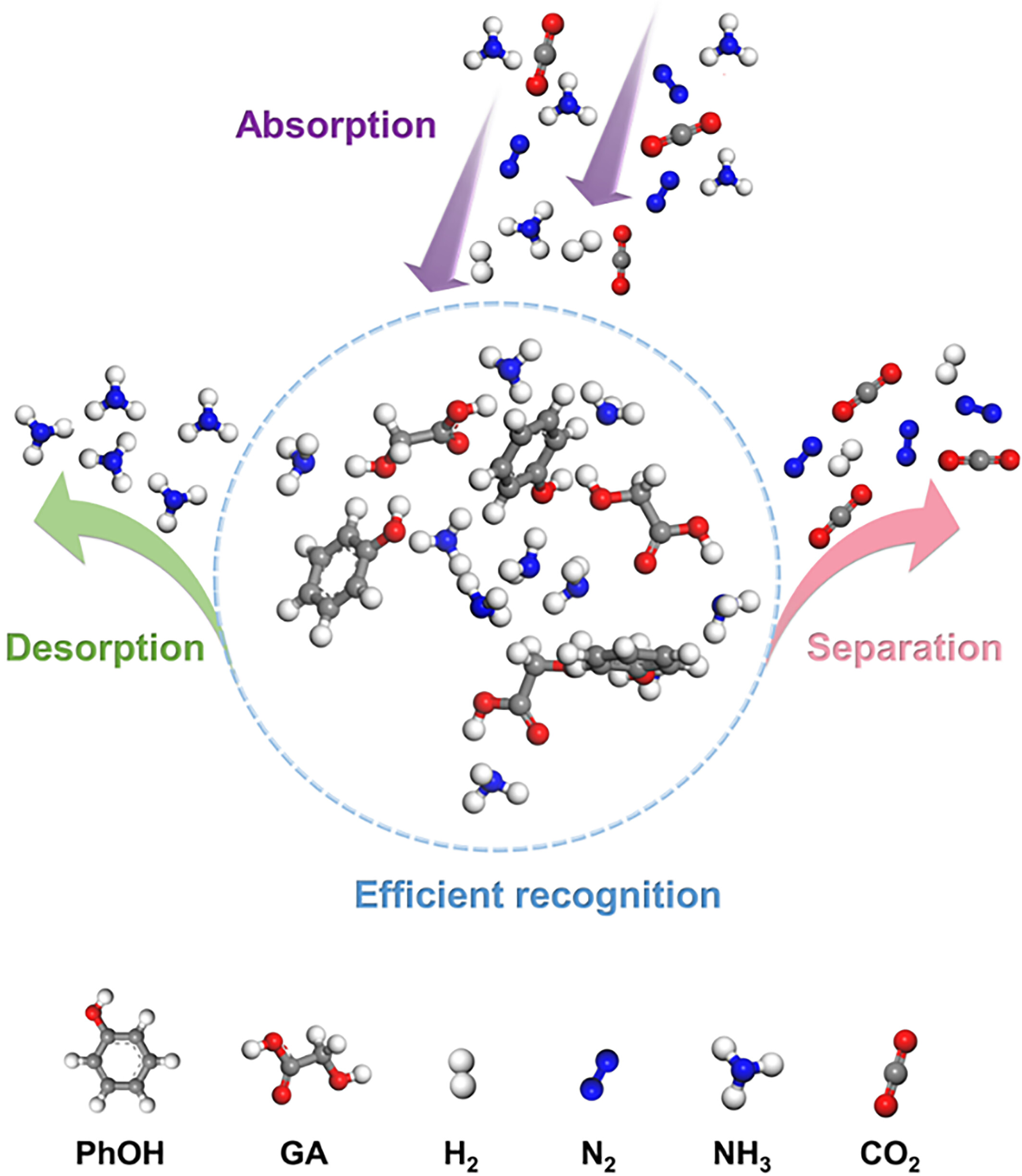 Rational design of deep eutectic solvents with low viscosities and multiple active sites for efficient recognition and selective capture of NH3