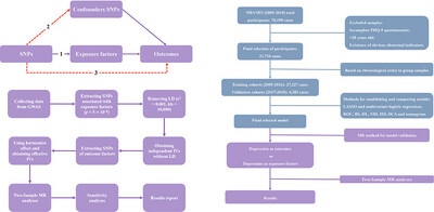 A Novel Depression Risk Prediction Model Using NHANES Data With Mendelian Randomization Validation