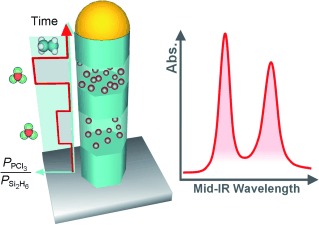Engineering Multimodal Localized Surface Plasmon Resonances in Silicon Nanowires