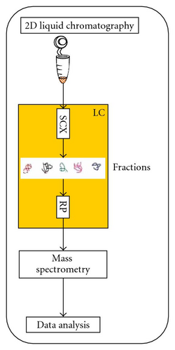 Details are in the caption following the image