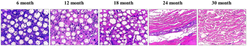 Details are in the caption following the image Details are in the caption following the image