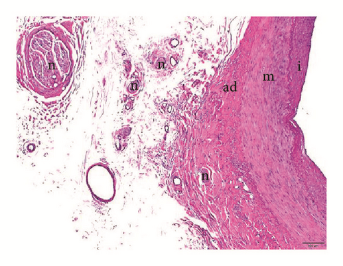 Details are in the caption following the image Details are in the caption following the image