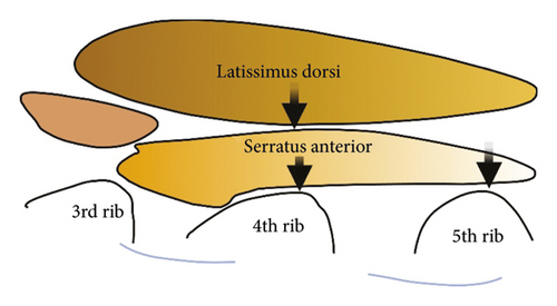 Details are in the caption following the image