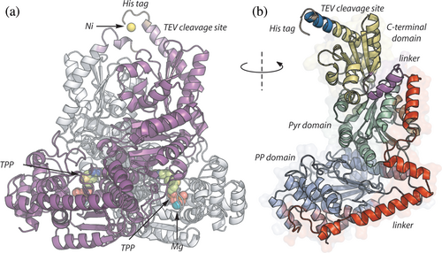 Details are in the caption following the image Details are in the caption following the image