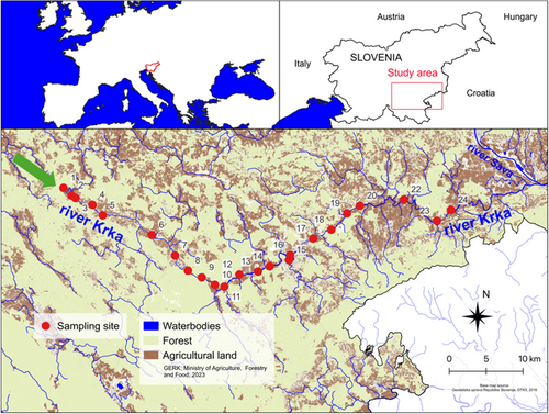 Details are in the caption following the image