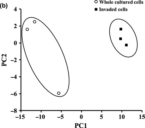 Metabolic characterization of invaded cells of the pancreatic cancer cell line, PANC-1
