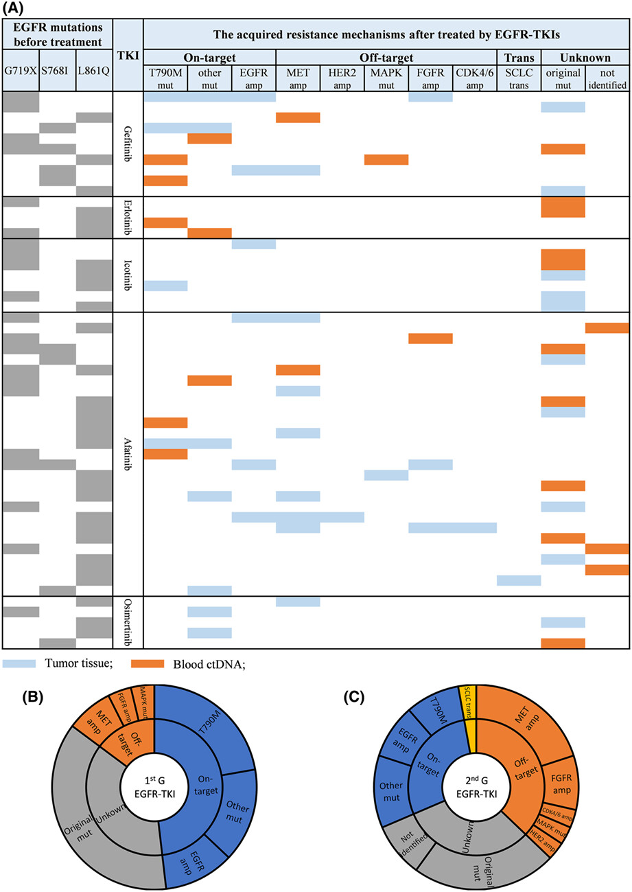 Real-world clinical analysis in 190 advanced NSCLC patients with uncommon EGFR mutations: A multi-center study