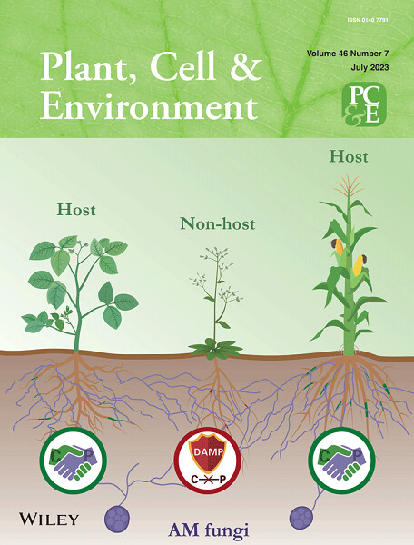 Cover Image Volume 46 Issue 7, 2023